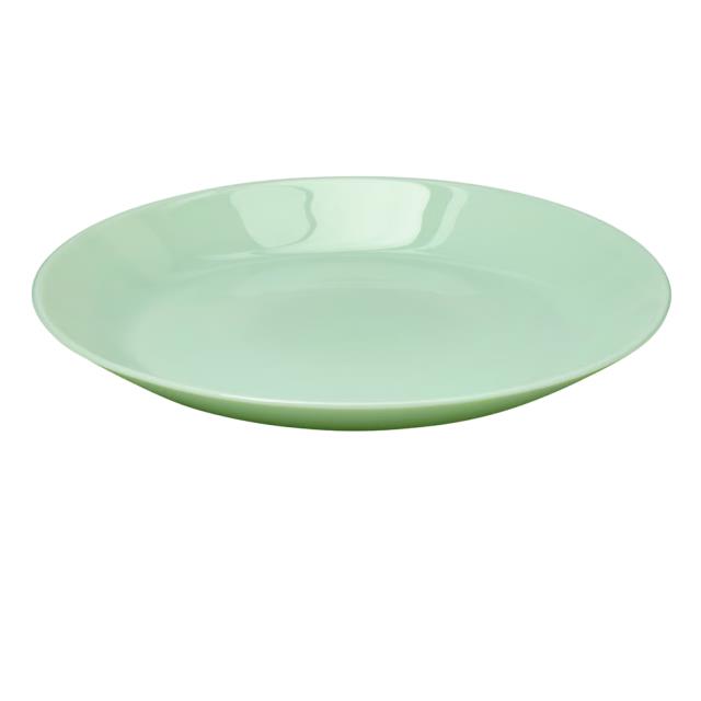 Rental store for Plate, Dinner 9 3 4  Light Green in Saskatoon SK