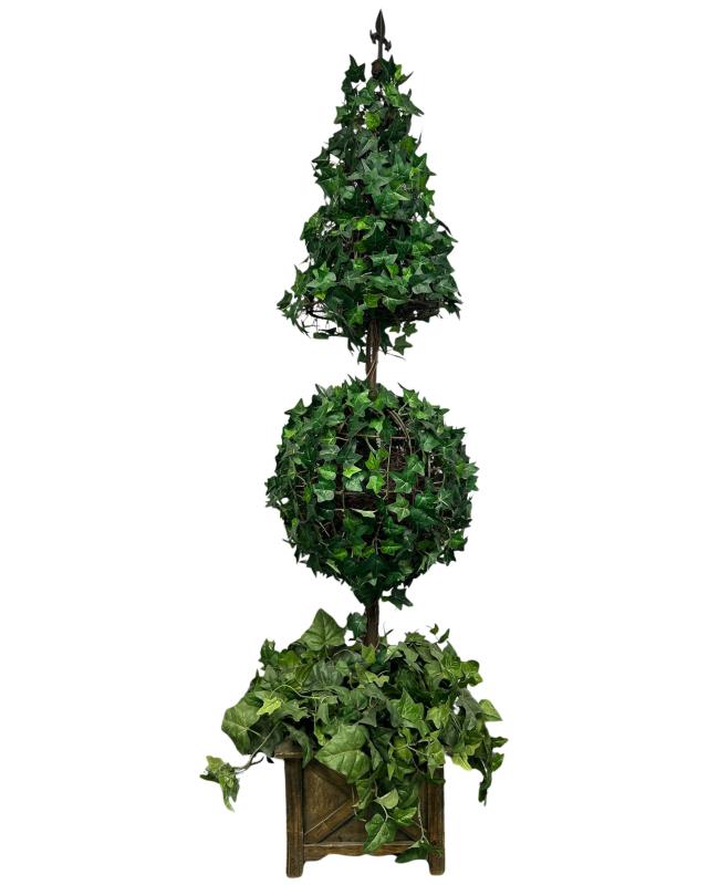 Rental store for Tree, Topairy 5  Triple Ivy in Saskatoon SK