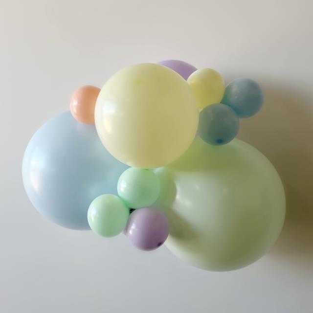 Rental store for Garland, Balloon Large Per Foot in Saskatoon SK