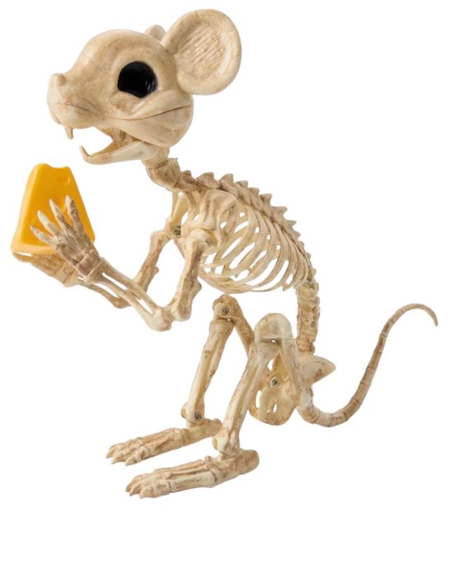 Rental store for Skeleton Mouse, 9.5 in Saskatoon SK