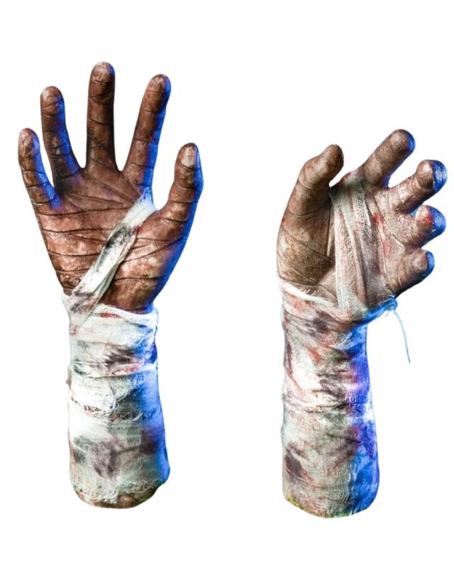 Rental store for Zombie Hands in Saskatoon SK